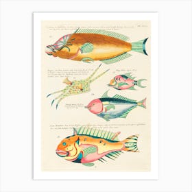 Colourful And Surreal Illustrations Of Fishes Found In Moluccas (Indonesia) And The East Indies, Louis Renard(38) Art Print