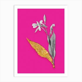 Vintage Bandana of the Everglades Black and White Gold Leaf Floral Art on Hot Pink n.0572 Art Print