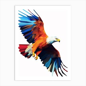 Colourful Geometric Bird Hawk Art Print