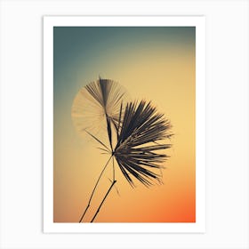 Sunset Stock Videos & Royalty-Free Footage Art Print