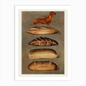 Bread And Dachshund Art Print