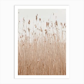 Bohemian Pampas Grass Art Print