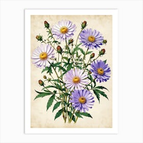 Asters Art Print