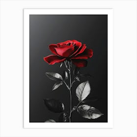 Red Rose Canvas Print Art Print