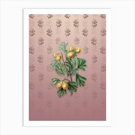 Vintage Aronia Thorn Flower Botanical on Dusty Pink Pattern Art Print