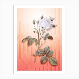 White Provence Rose Vintage Botanical in Peach Fuzz Awning Stripes Pattern n.0247 Art Print