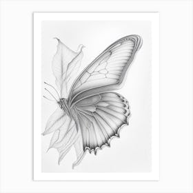 Butterfly Outline Greyscale Sketch 1 Art Print