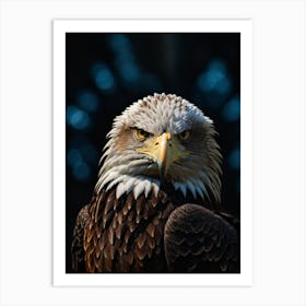 Bald Eagle Art Print 1 Art Print