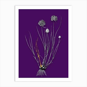 Vintage Allium Globosum Black and White Gold Leaf Floral Art on Deep Violet n.0295 Art Print
