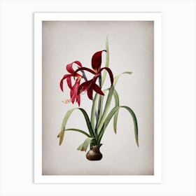 Vintage Sprekelia Botanical on Parchment n.0164 Art Print