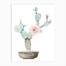 Cactus Flower Art Print