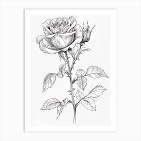 Roses Sketch 61 Art Print