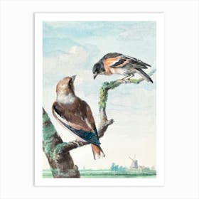 Vintage Bird Art Print_2835726 Art Print