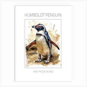 Humboldt Penguin Half Moon Island Watercolour Painting 3 Poster Art Print