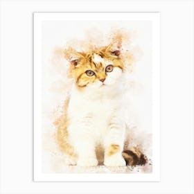 British Shorthair Kitten 1 Art Print