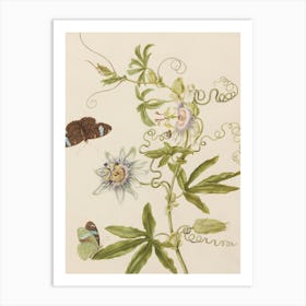 Passion Flower And Butterflies Art Print