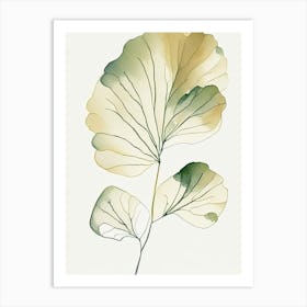 Ginkgo Herb Minimalist Watercolour 3 Art Print