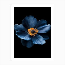 Blue Anemone Flower 1 Art Print