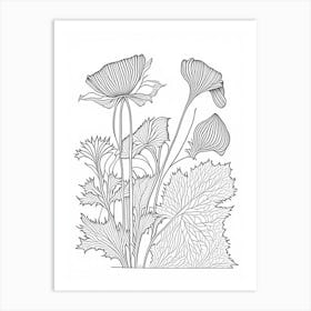 Maca Herb William Morris Inspired Line Drawing 2 Art Print
