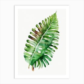 Tongue Fern Watercolour Art Print