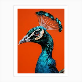 Peacock 11 Art Print