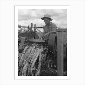 Mormon Farmer Extracting Juice From Cane, Ivins, Washington County, Utah By Russell Lee Art Print