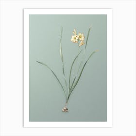 Vintage Gladiolus Lineatus Botanical Art on Mint Green n.0297 Art Print