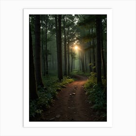 Sunrise In The Forest 4 Art Print