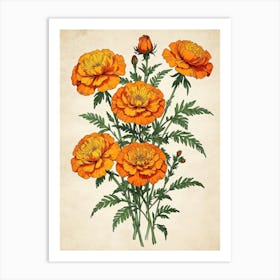 Carnations Art Print