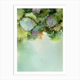 Abalone Storybook Watercolour Art Print