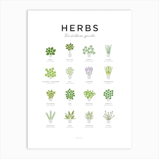 Herbs Guide Minimal Art Print
