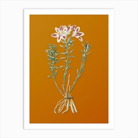 Vintage Lily of the Incas Botanical on Sunset Orange n.0729 Art Print