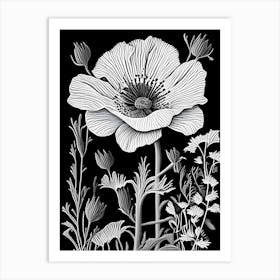 Matilija Poppy Wildflower Linocut 1 Art Print