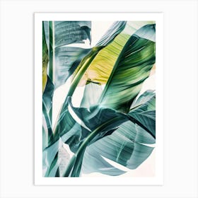 Banana Leaves 30 Art Print