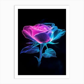 Pink And Blue Rose Art Print