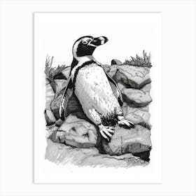 African Penguin Sunbathing On Rocks 2 Art Print