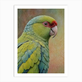 Parrot Art Print