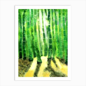Bamboo tree in the forest with sunlight Art Print