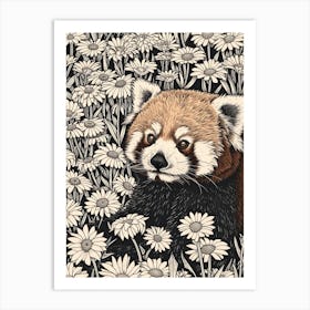 Red Panda Resting In A Field Of Daisies Ink Illustration 4 Art Print