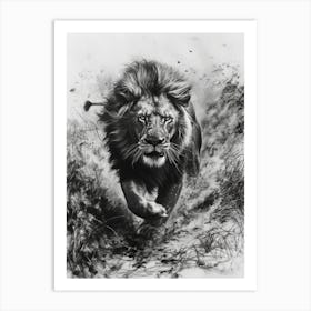 Barbary Lion Charcoal Drawing Hunting 3 Art Print