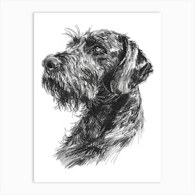 German Wirehaired Pointer Dog Black & White Line Sketch 1 Art Print