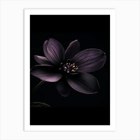 Black Flower 3 Art Print