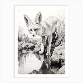 Fennec Fox Finds Water Pencil Drawing 2 Art Print