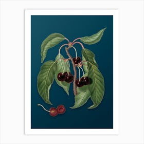 Vintage Hard Fleshed Cherry Botanical Art on Teal Blue n.0921 Art Print