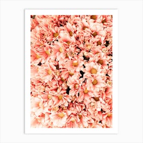 Pink Daisy Flowers Art Print