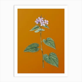 Vintage Morning Glory Flower Botanical on Sunset Orange n.0850 Art Print