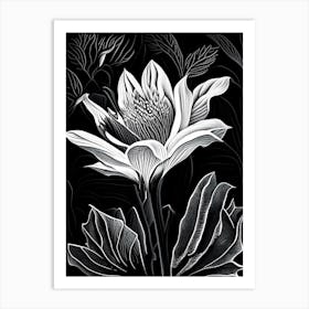 Bloodroot Leaf Linocut 2 Art Print