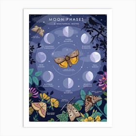 Moon Phases And Nocturnal Moths Art Print