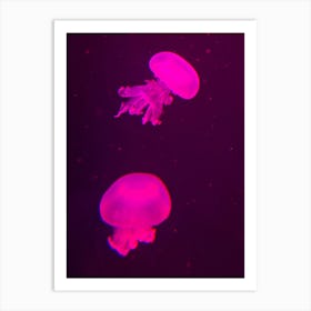 Jellyfish Swimming In The Dark Affiche