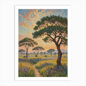 African Spring Sunset Art Print